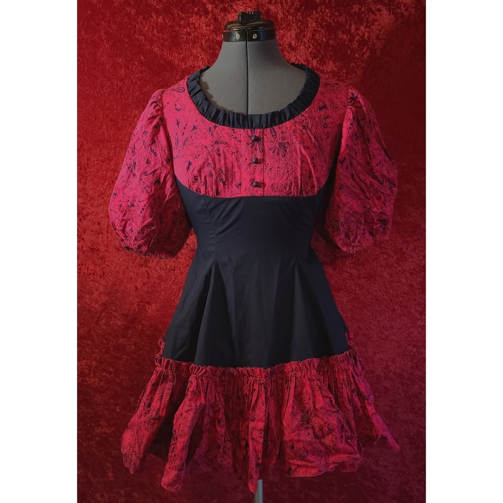 Vintage Red and black Paisley dress